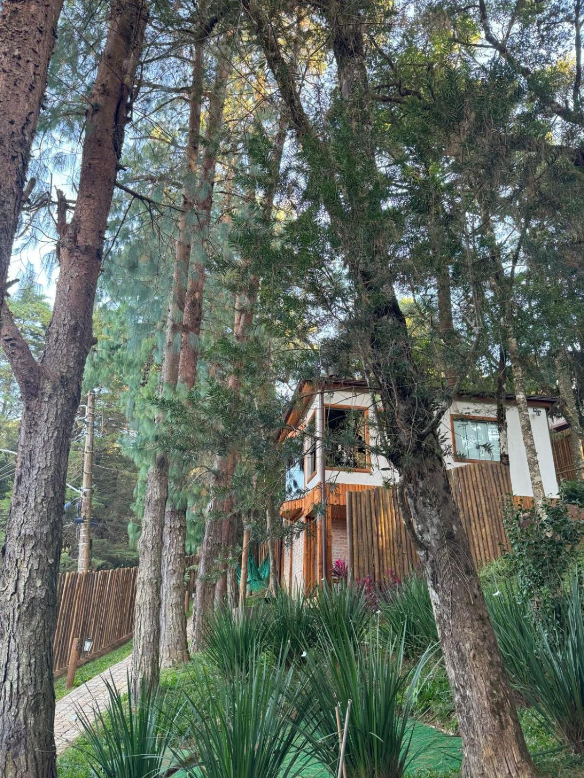 Estalagem Serra De Minas Em Monte Verde 몬테베르데 외부 사진